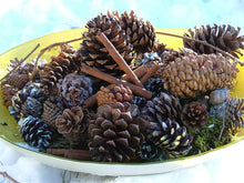 Load image into Gallery viewer, Scented Pine Cones
